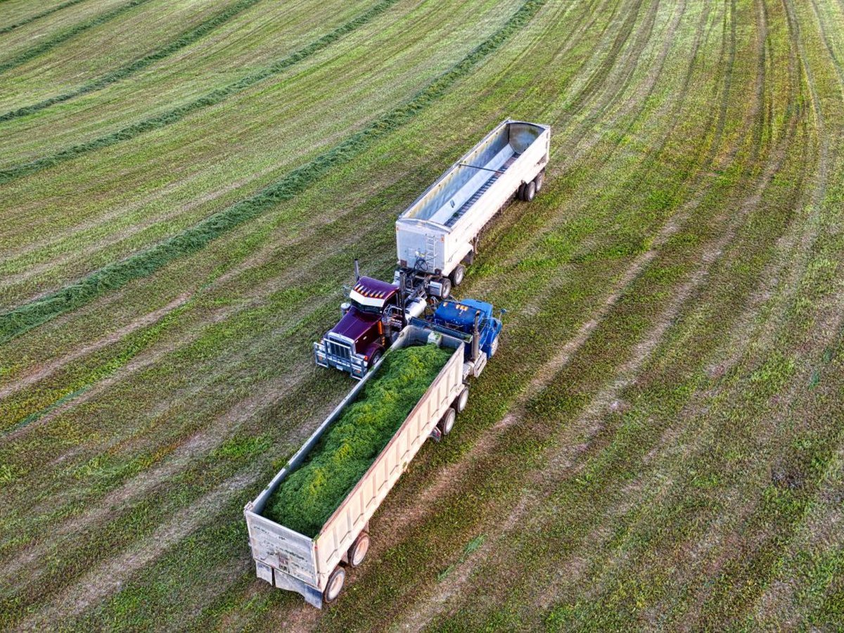 Remolques agrícolas